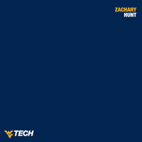 Baseball GIF by WVU Tech Golden Bears