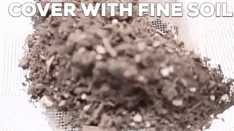 Elitehomeimage giphygifmaker GIF