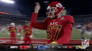 Kansas City Chiefs Football GIF by NFL