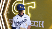 Georgia Tech Baseball GIF by Georgia Tech Yellow Jackets