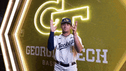 Georgia Tech Baseball GIF by Georgia Tech Yellow Jackets