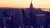 New York GIF
