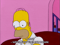 homer simpson episode 6 GIF