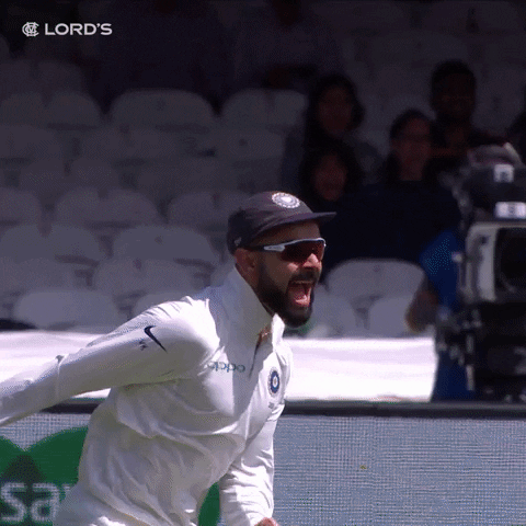 Sport Yes GIF by Lord's Cricket Ground