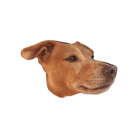 Teo Jackrussel Sticker by Stagione Arte