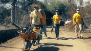 Crisis Cleanup GIF by NAMB Social