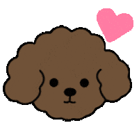 Poodle Sticker