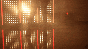 Oklahoma Sooners Softball GIF by NCAA Championships