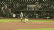 greatlakesloons celebration baseball great lakes loons GIF