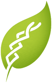 Waldläufer Sticker by Lugina Schuhfabrik GmbH