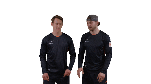 Teamnl Beachvolleybal Sticker by Nevobo