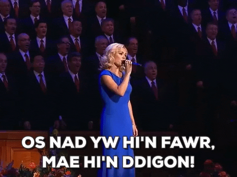 carwpiws giphygifmaker cymraeg s4c teledu GIF