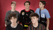 Why Dont We GIF by BuzzFeed