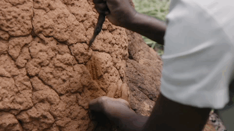 viceland GIF by Dead Set on Life