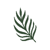 Skincare Waxing Sticker by The Pink Canoe Studio