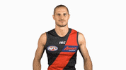essendonfc dons bombers essendon essendon fc GIF