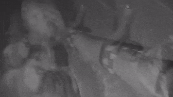 Heavy Metal GIF by Machine Head