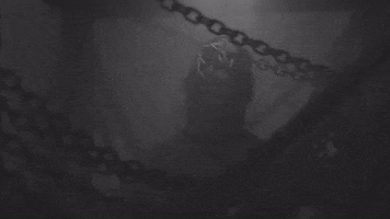 Heavy Metal GIF by Machine Head