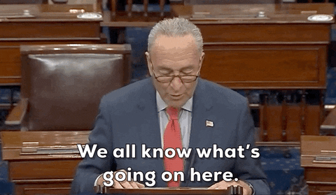 Chuck Schumer GIF by GIPHY News