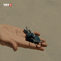 Keys Ev GIF by TRT