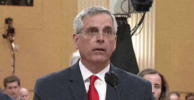 2020 Election Georgia GIF by GIPHY News