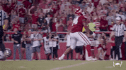 College Football GIF by Arkansas Razorbacks