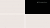 Noise and Grain Shapes