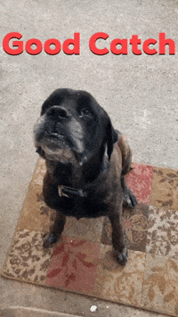 happy well done GIF by Tricia  Grace