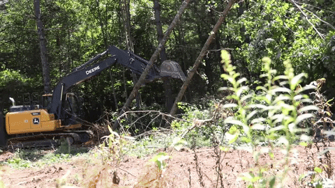 Timber Excavator GIF by JC Property Professionals