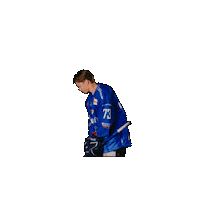 Tigershockey Sticker by Straubing Tigers