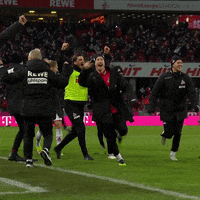 1 Fc Cologne Football GIF by 1. FC Köln
