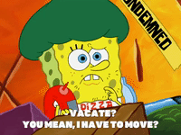season 8 episode 3 GIF by SpongeBob SquarePants