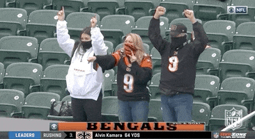 Regular Season Football GIF by NFL