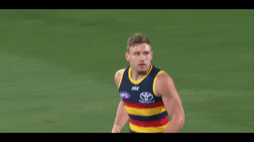 afl celebrate GIF by Adelaide Crows