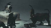 ski mask the slump god puppy GIF by Republic Records