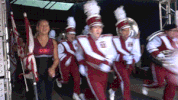 Tu GIF by Temple Owls
