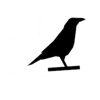 film cinema Sticker