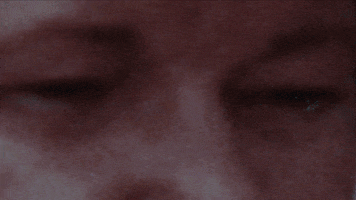 stop motion animation GIF by sam gurry