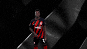 Logo Sign GIF by Eintracht Frankfurt