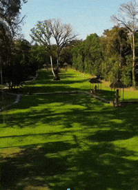 Guatemala Maya GIF