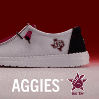 Texas GIF by HEYDUDE Shoes