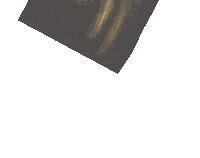 Nakheelalya food logo eten dadels Sticker