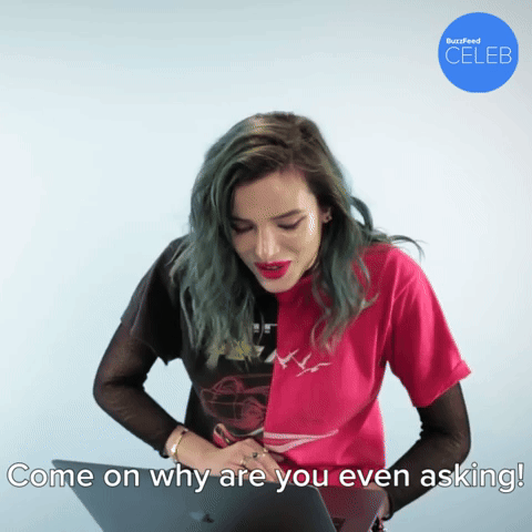 Why Are You Even Asking!