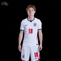 Fifa World Cup England GIF by Respective