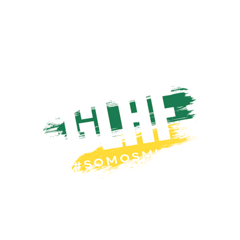 Brazil Vamos Sticker by MIBR