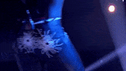 Lady Leshurr Itv GIF by Don't Hate The Playaz