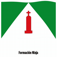 Castilla Y Leon Flag GIF by Formación Ninja