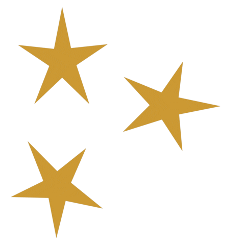 Gold Stars Sticker by Grace Prep Academy
