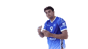 Sport Team Sticker by Amysoft Lycurgus
