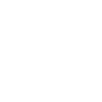 Usf Bulls Sticker by University of South Florida